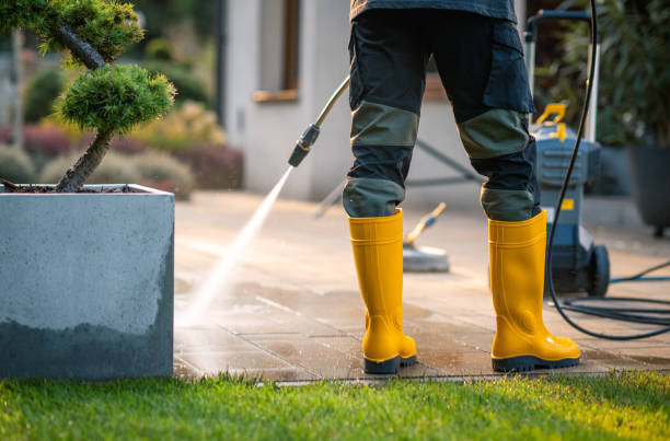 Best Affordable Pressure Washing  in Lenoir City, TN